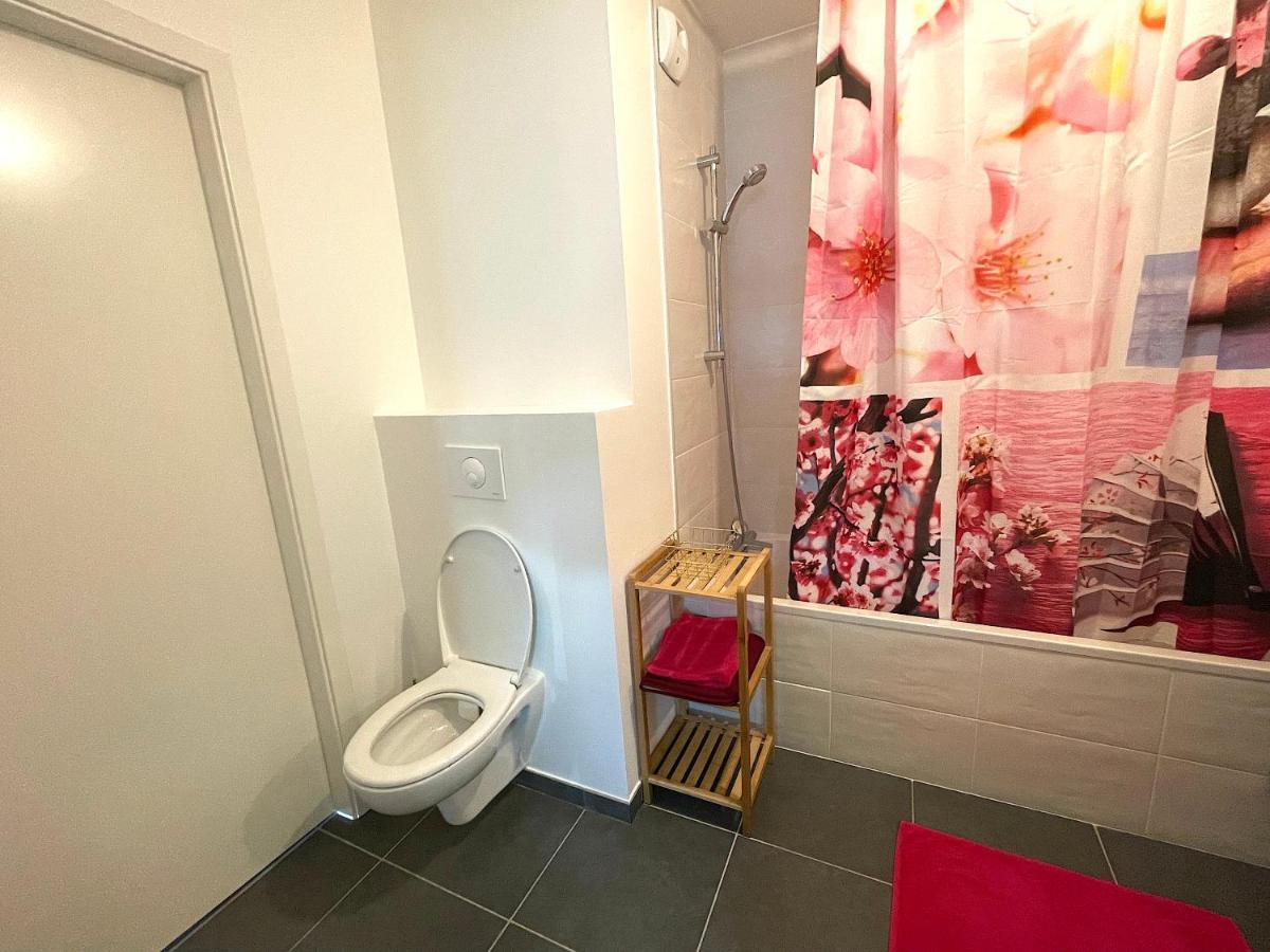Apartament Le Nid Douillet D'Annecy Zewnętrze zdjęcie